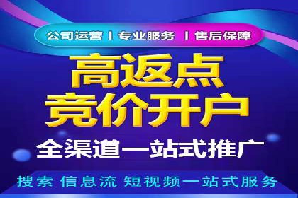 案例对比：SEO与SEM优化效果深度分析